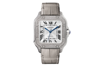 Cartier - Santos - Wjsa0014 - White Gold (rb669)