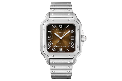 2024 Cartier - Santos - Wssa0064 - Stainless Steel (rb635)