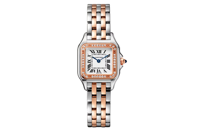 2024 Cartier - Panthère De Cartier - W3pn0006 - Steel & Rose Gold (rb687)