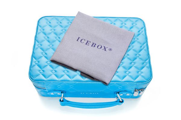 Icebox Leather World Traveler Jewelry Case - 2 Watches