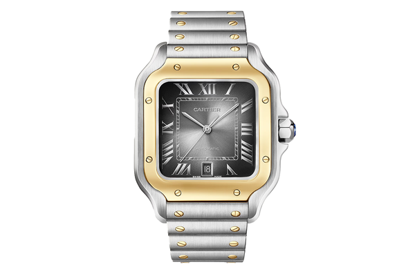 Cartier - Santos - W2sa0030 - Yellow Gold (rb633)