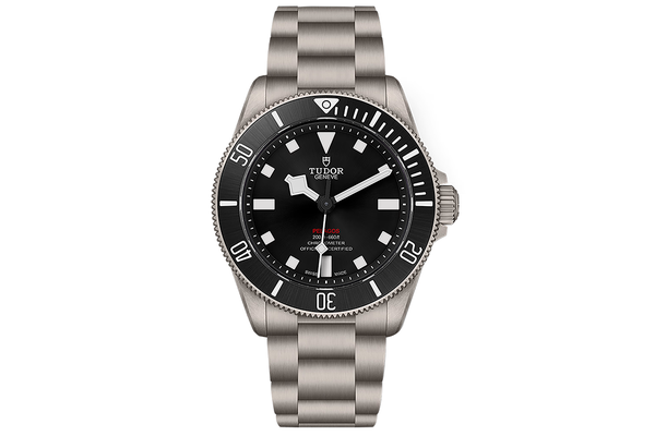 Tudor - Pelagos 39 - M25407n-0001 - Titanium (rb1521)