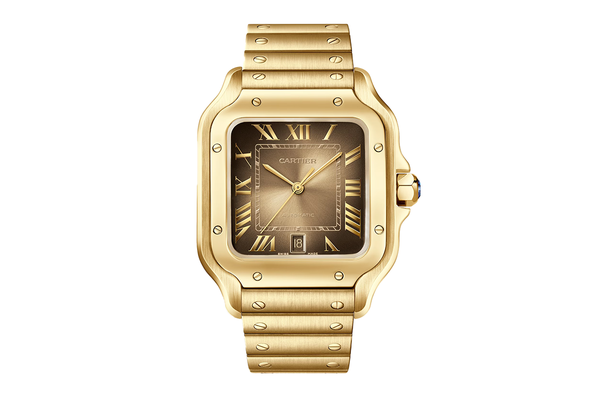 Cartier - Santos - Wgsa0095 - Yellow Gold (rb670)