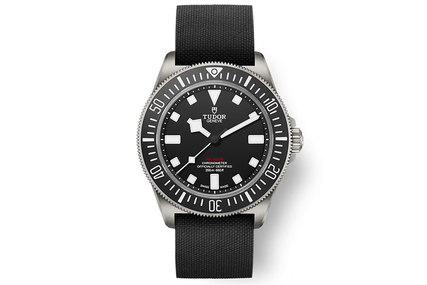 Tudor - Pelagos Fxd - M25717n-0001 - Titanium (rb1527)