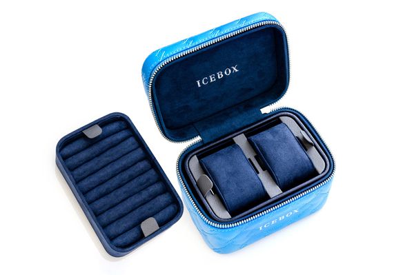 World Traveler Jewelry Case Small