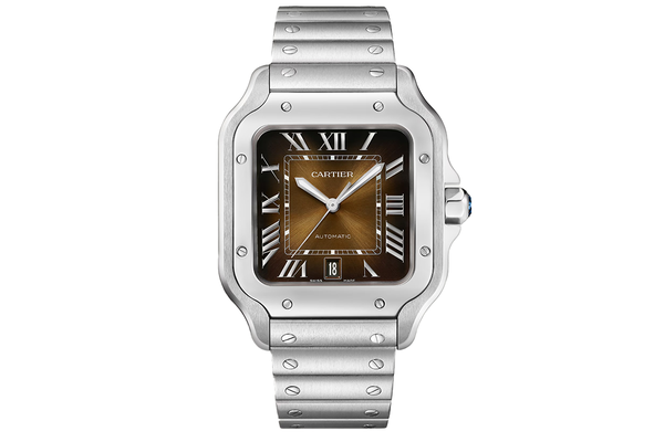 Cartier - Santos De Cartier - Wssa0064 -(rb1456)