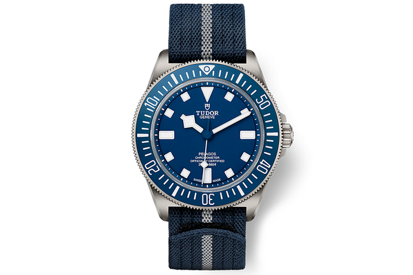 Tudor - Pelagos Fxd - M25707b/24-0001 - Titanium (rb1525)