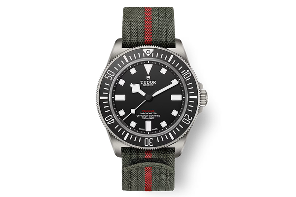 Tudor - Pelagos Fxd - M25717n-0001 - Titanium (rb1831)