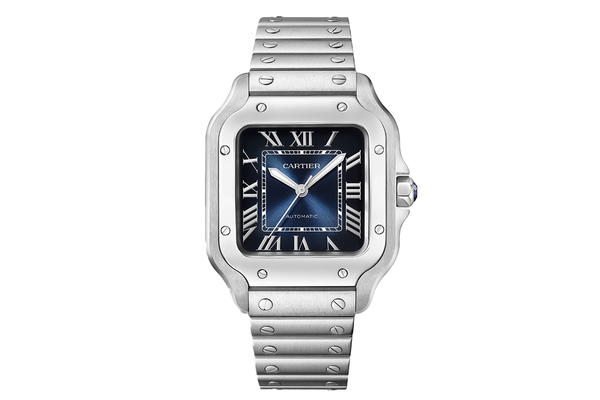 Cartier - Santos - Wssa0063 - Stainless Steel (rb645)