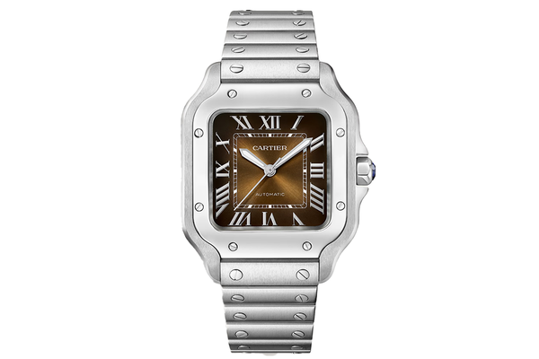 Cartier - Santos - Wssa0065 - Stainless Steel (rb634)