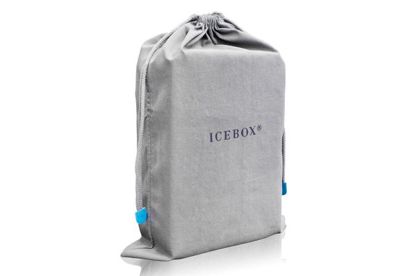 Ice Box Purse