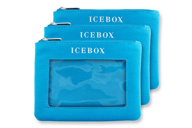 Ice Box Purse