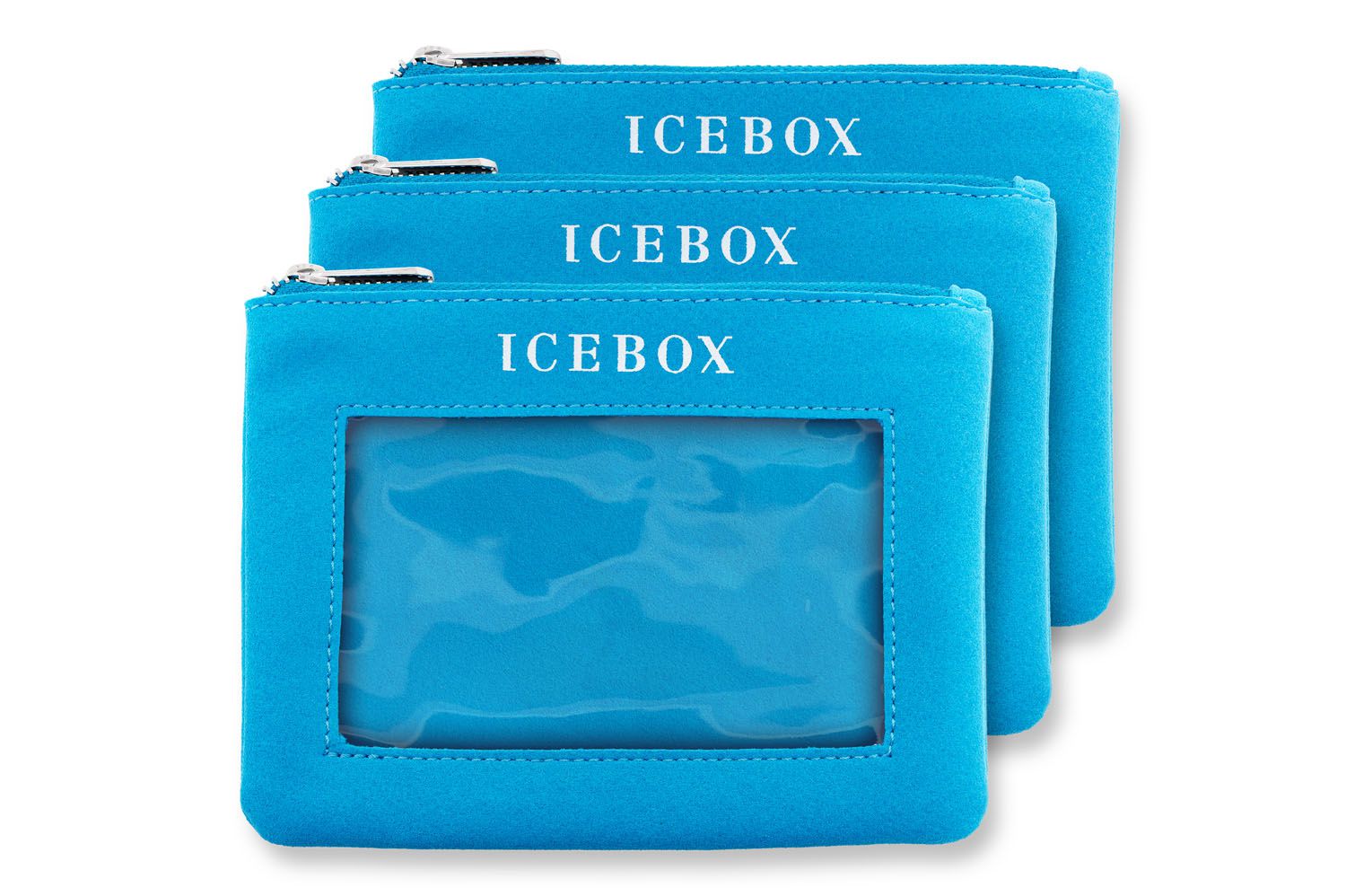Ice Box Purse